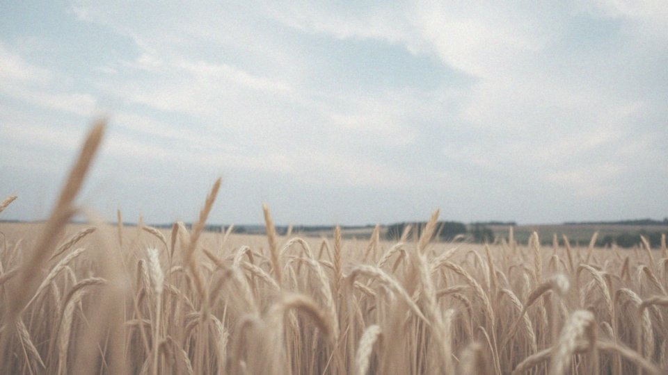 Jakie składniki wchodzą w skład powietrza?
