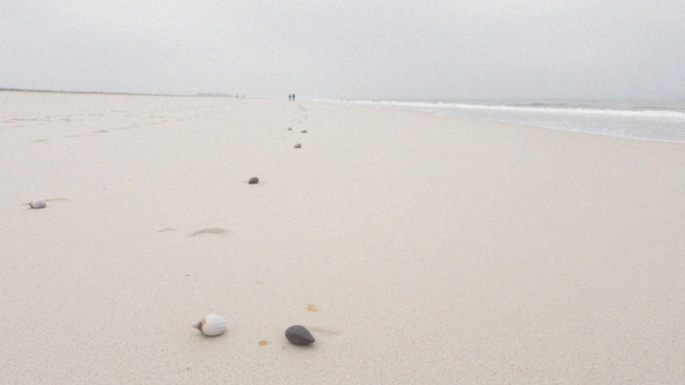 Jakie cechy mają wyjątkowe plaże w Świnoujściu?